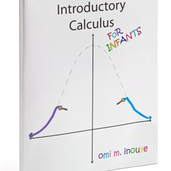 Introductory Calculus For Infant